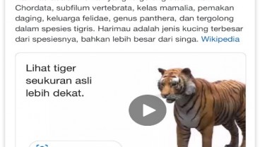 5 Terpopuler Lifestyle, Google Luncurkan Fitur Hewan Virtual dan yang Kurang dari Film Bumi Manusia