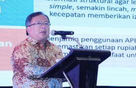 RPJMN 2020-2024 : Kalimantan Diminta Bukan Sekadar Pulau Konsesi Pertambangan