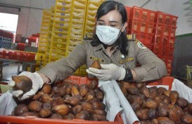 Buah Salak Asal Jateng Jadi Favorit Warga Kamboja