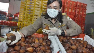 Buah Salak Asal Jateng Jadi Favorit Warga Kamboja