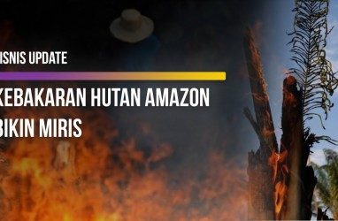 Kebakaran Hutan Amazon Capai Rekor Tahun Ini