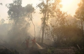 99 Persen Kebakaran Hutan dan Lahan Akibat Ulah Manusia