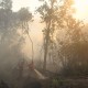 99 Persen Kebakaran Hutan dan Lahan Akibat Ulah Manusia