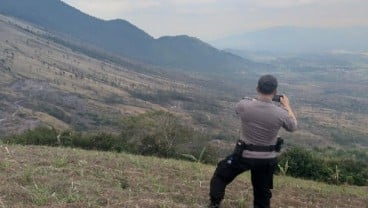 Polisi Selidiki Penyebab Kebakaran Hutan di Gunung Guntur