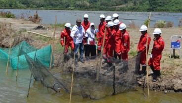 Petambak Bandeng di Donggala Uji Kompetensi