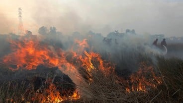 Pemadam Kebakaran Hutan dan Lahan Asal Jambi Gugur Saat Bertugas