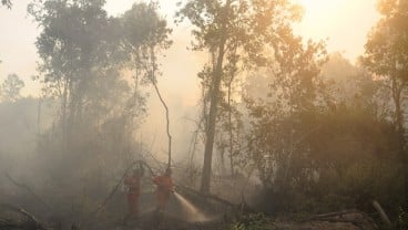 Kebakaran Nyaris Habiskan Hutan Mahoni di Rejang Lebong