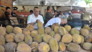 Kalbar Kenalkan 12 Varietas Durian Unggul