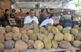 Kalbar Kenalkan 12 Varietas Durian Unggul