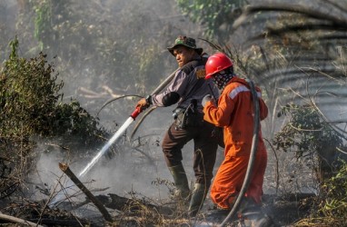 Selama Kemarau, Hutan Gunung Guntur Garut Sudah 3 Kali Terbakar
