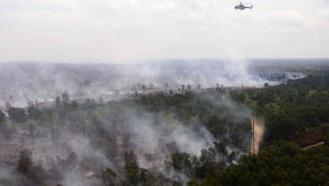 1.822 Hektare Hutan dan Lahan di Sumsel Terbakar