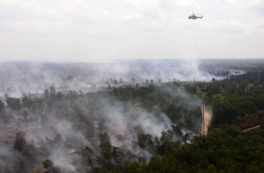 1.822 Hektare Hutan dan Lahan di Sumsel Terbakar