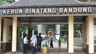 Sebanyak 263 Hewan yang Diawetkan Kebun Binatang Bandung Dimusnahkan