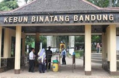 Sebanyak 263 Hewan yang Diawetkan Kebun Binatang Bandung Dimusnahkan