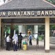 Sebanyak 263 Hewan yang Diawetkan Kebun Binatang Bandung Dimusnahkan