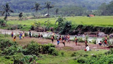 Sungai Cileungsi Tercemar, Ratusan Ikan Sapu-Sapu Ditemukan Mati