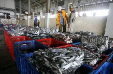 JFX dan KBI Jajaki Perdagangan Ikan Melalui Bursa Berjangka