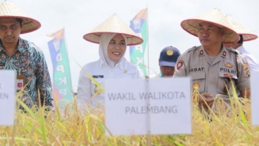 Palembang Tingkatkan Alokasi Dana Pertanian untuk Pertahankan Sawah