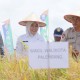 Palembang Tingkatkan Alokasi Dana Pertanian untuk Pertahankan Sawah