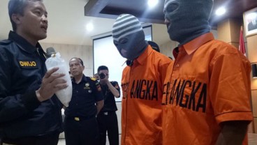 Bea Cukai Palembang Gagalkan Penyelundupan Lobster Bernilai Rp10 Miliar