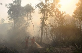KLHK : Luas Karhutla Turun, Pemadaman Api Terbantu Hujan