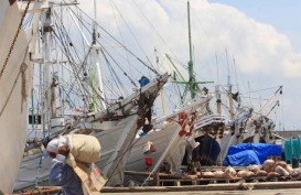 Volume Angkutan Minim, Bisnis Kapal Pelayaran Rakyat Kian Tenggelam