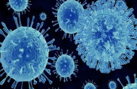 INOVASI TEKNOLOGI: Ampuh Deteksi Norovirus dengan Aplikasi