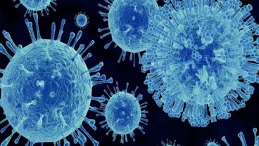 INOVASI TEKNOLOGI: Ampuh Deteksi Norovirus dengan Aplikasi