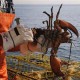 Polisi Amankan Nelayan NTB Tangkap Lobster Tanpa Izin di Perairan NTT