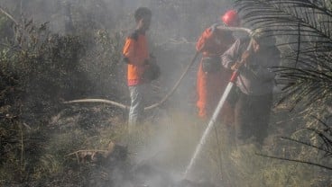 15 Hektare Lahan Perkebunan Terbakar di Tasikmalaya