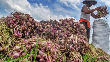Panen Bawang Merah, Jatim Bakal Gandeng Industri Pengolahan Makanan