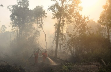 Tim KLHK Selidiki Titik Api di Kalimantan Barat