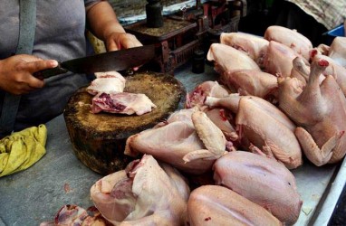 Harga Ayam Terpuruk, Ini 7 Jurus Kementan untuk Pulihkan Harga