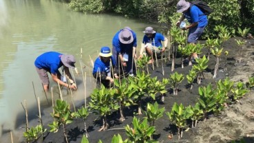 Penyelamatan Hutan Bakau, 3M Indonesia Berdayakan Pesisir Semarang