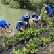 Penyelamatan Hutan Bakau, 3M Indonesia Berdayakan Pesisir Semarang