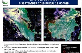 Asap Karhutla Sumatra dan Kalimantan, Ini Hasil Pantauan BNPB