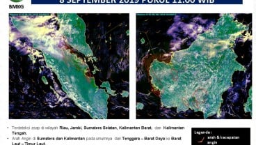 Asap Karhutla Sumatra dan Kalimantan, Ini Hasil Pantauan BNPB