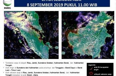 Asap Karhutla Sumatra dan Kalimantan, Ini Hasil Pantauan BNPB