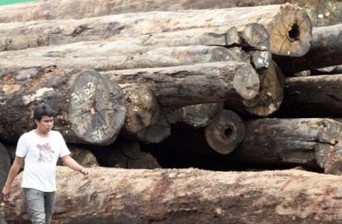 Penurunan Bea Masuk Bakal Tingkatkan Ekspor Plywood