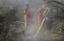 Sebagian Kebakaran Lahan di Riau Akibat Ulah Warga