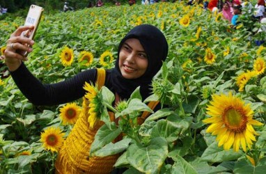 Tren Kenaikan Wisatawan Domestik Didominasi Generasi Milenial
