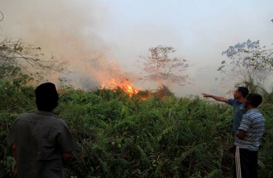 Tangkap Pembakar Lahan, 55 Personel Kostrad Diterjunkan ke Riau