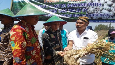 BI Malang Dorong Batu Menjadi Sentra Produksi Bawang Putih