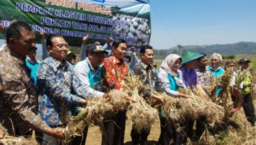 Pengembangan Klaster BI Jatim Diarahkan pada Komoditas Volatile Food