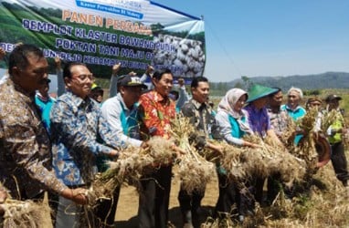 Pengembangan Klaster BI Jatim Diarahkan pada Komoditas Volatile Food