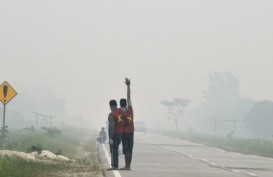 1.316 Titik Panas Terpantau di Sumatra, Angin Kirim Asap ke Riau