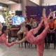 Oriental Circus Indonesia Bidik 30.000 Pengunjung di Semarang