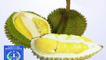 Berapa Jumlah Aman Mengonsumsi Durian? Ini Hitungannya