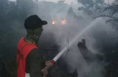 Kasus Karhutla, Polda Riau Tetapkan 47 Orang Tersangka