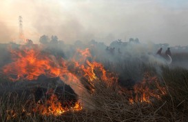 BMKG Pantau Ada 11 Titik Api di Riau